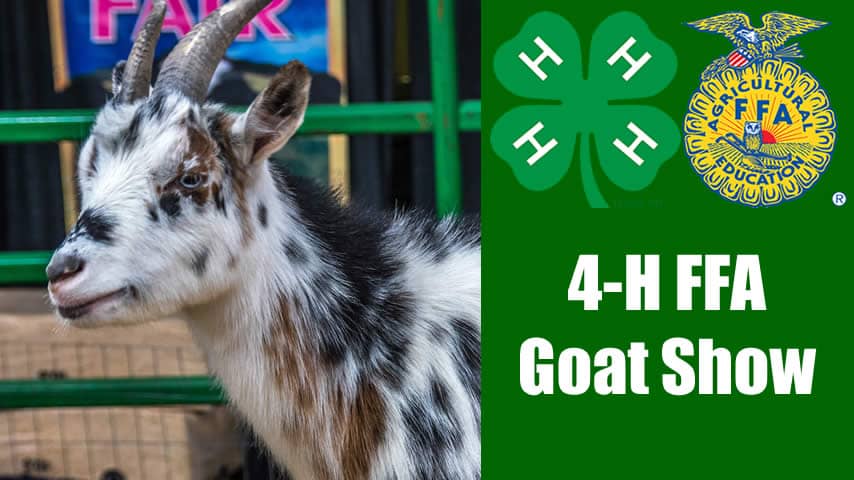 4-H FFA Goat Show