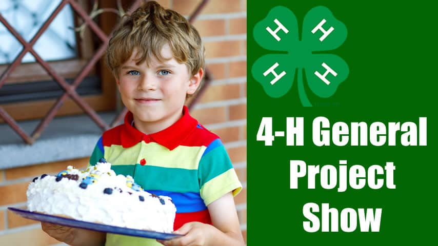 4-H General Project