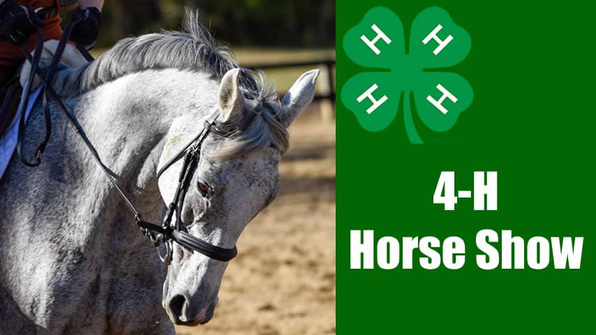 4-H Horse Show