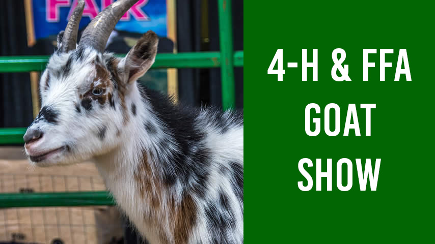 4-H and FFA Goat Show featuring a photo of a small spotted goat.