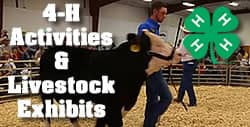 Cattlemen's Days Events 4-H