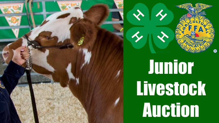 Jr Livestock Auction