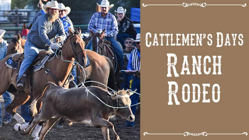 Watershed Ranch Rodeo
