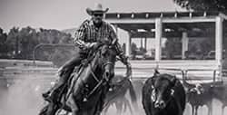 Watershed Ranch Rodeo