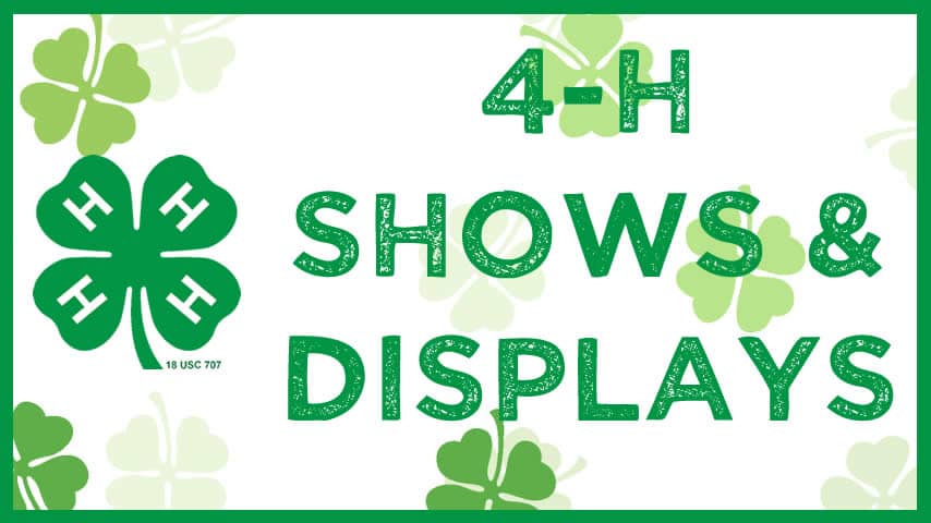 4-H Shows and Displays