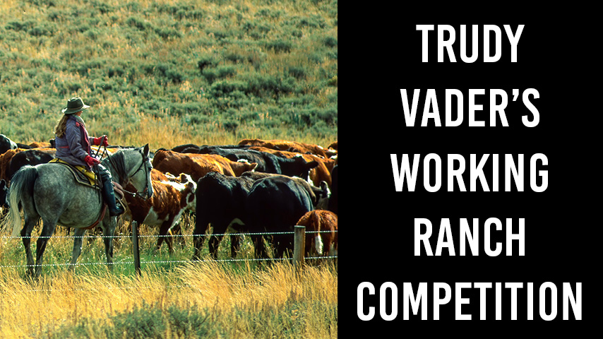 Trudy Vader's Working Ranch Competition featuring a photo of a woman herding cattle from horseback.