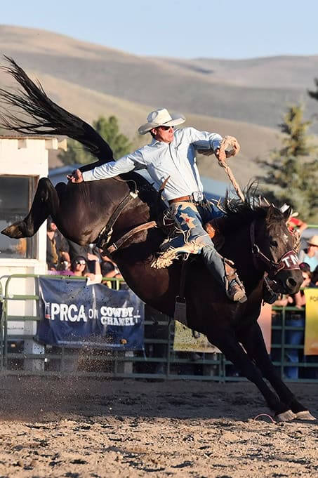 A cowboy in chaps puts in a good ride on a bronc. 